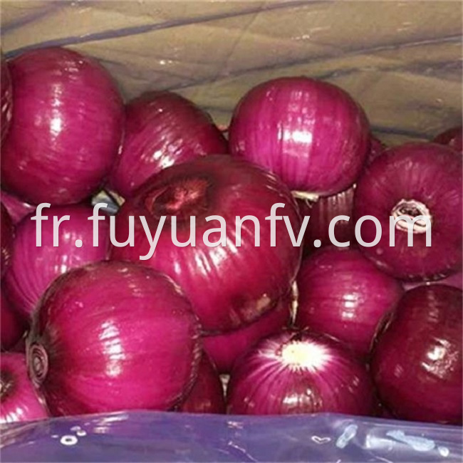 red onion